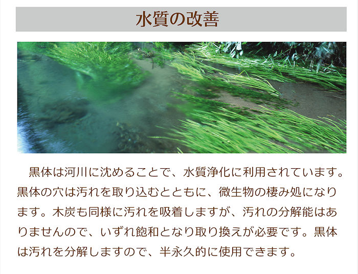 黒体は河川に沈めることで水質浄化に利用されています
