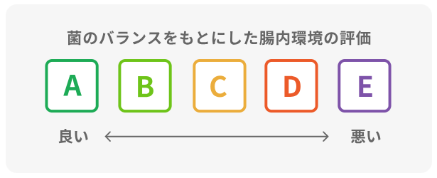 菌のバランスをもとにした腸内環境の評価